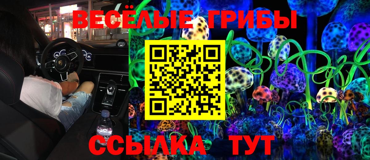 Бахчисарай  Псилоцибиновые грибы ЛСД  Псилоцибиновые грибы ЛСД  Вход с VPN 