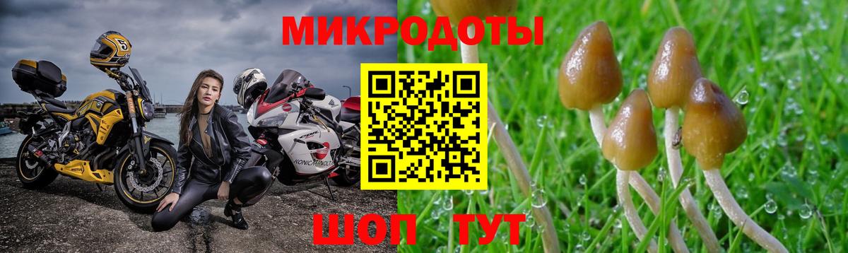 Псилоцибиновые грибы Magic Shrooms Бахчисарай